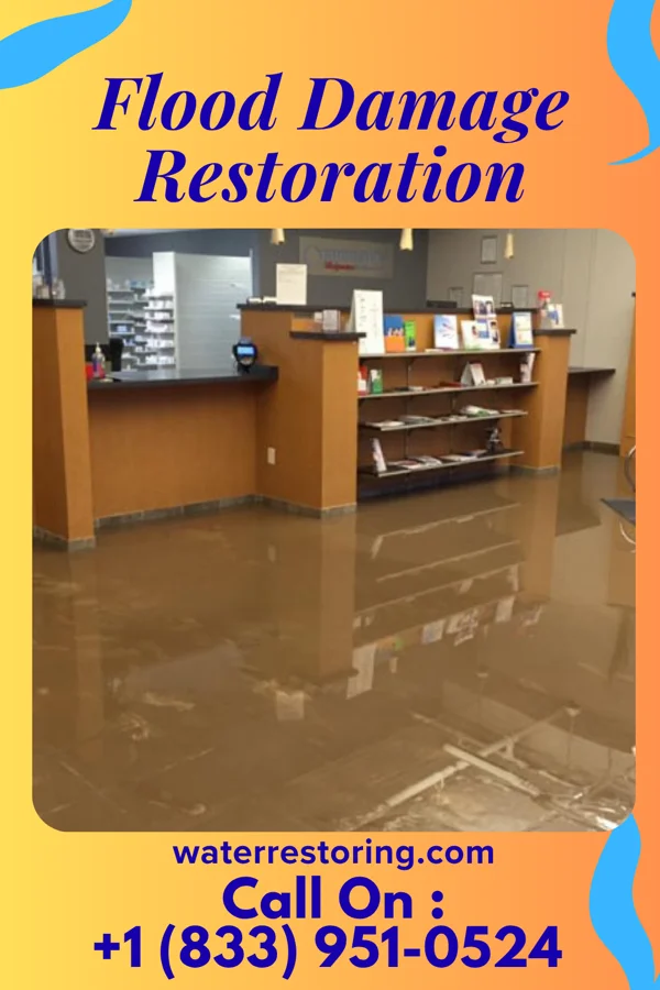 Flood Damage Restoration in Swedona, IL