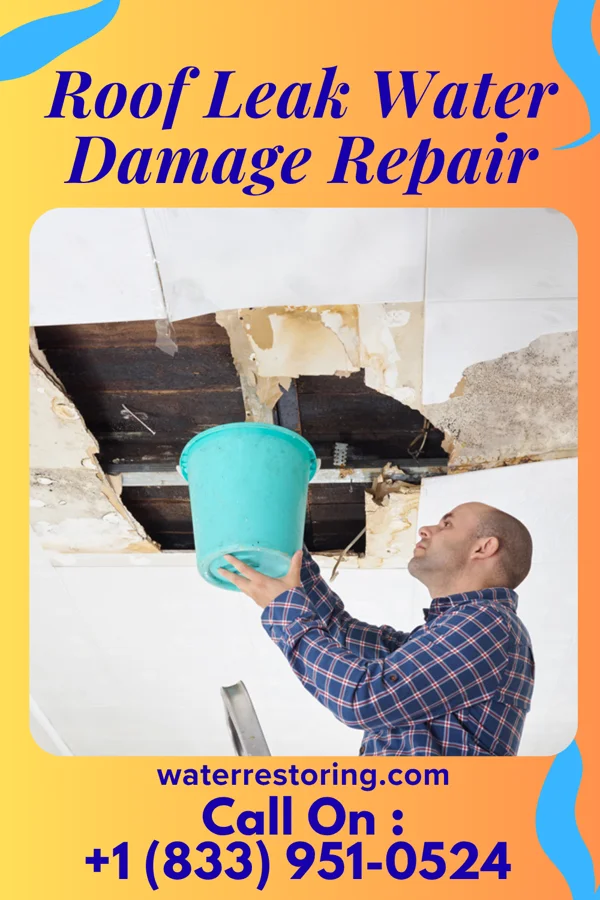 Roof Leak Water Damage Repair in Swedona, IL