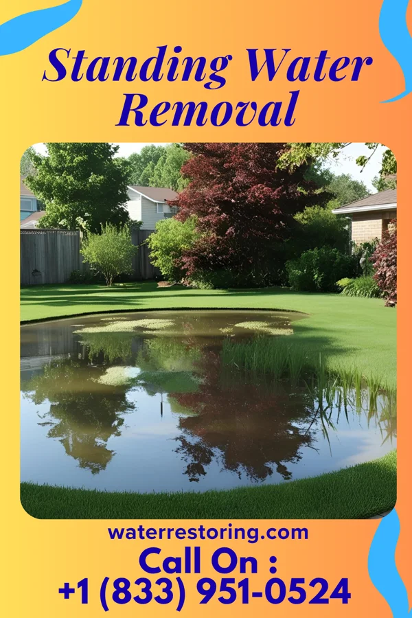 Standing Water Removal in Swedona, IL